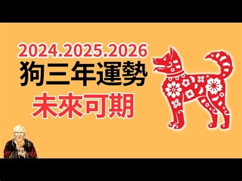 1982屬狗十年運勢|解析十年運勢情況